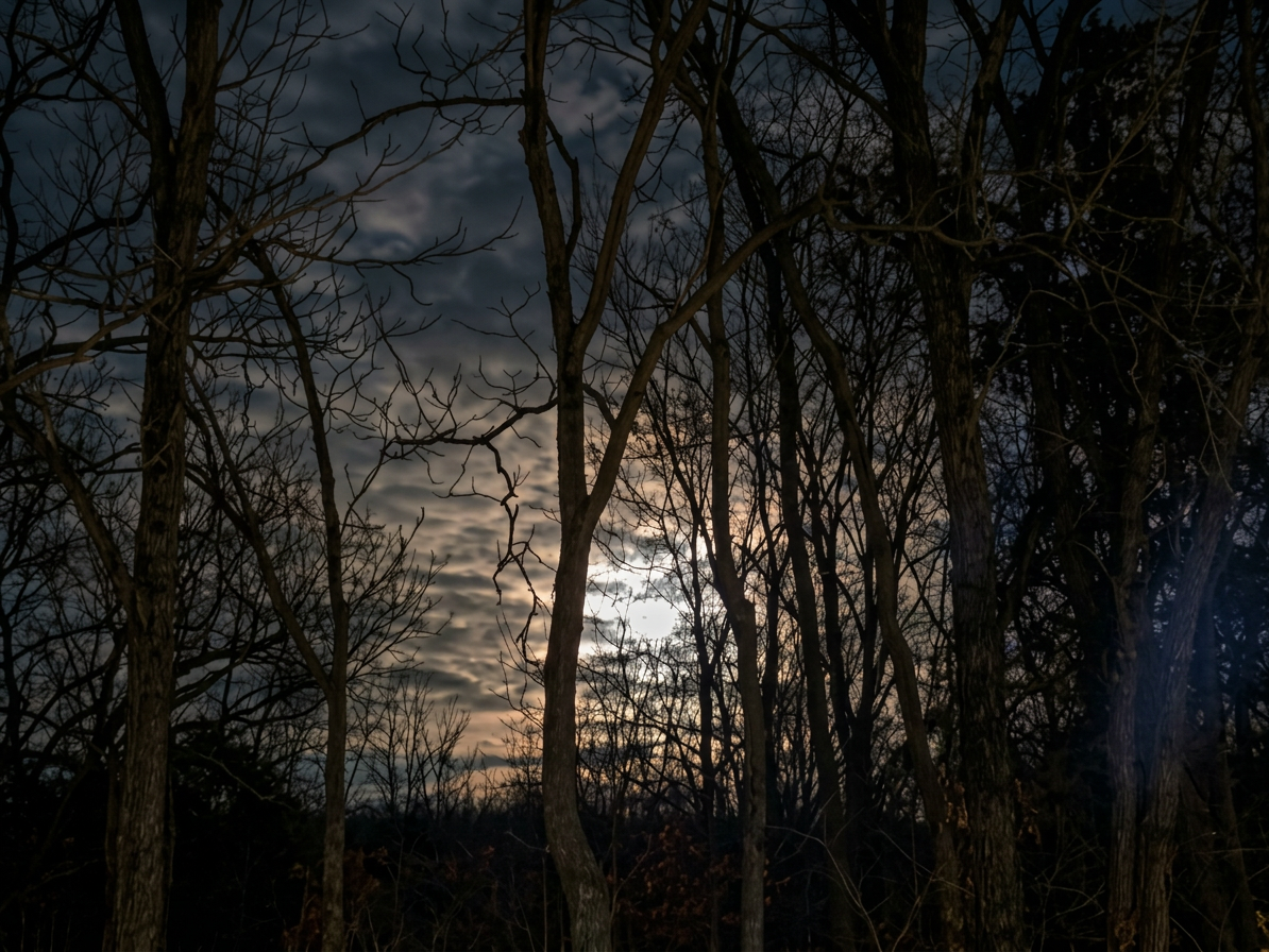 0 a cloudy night with a creepy moon