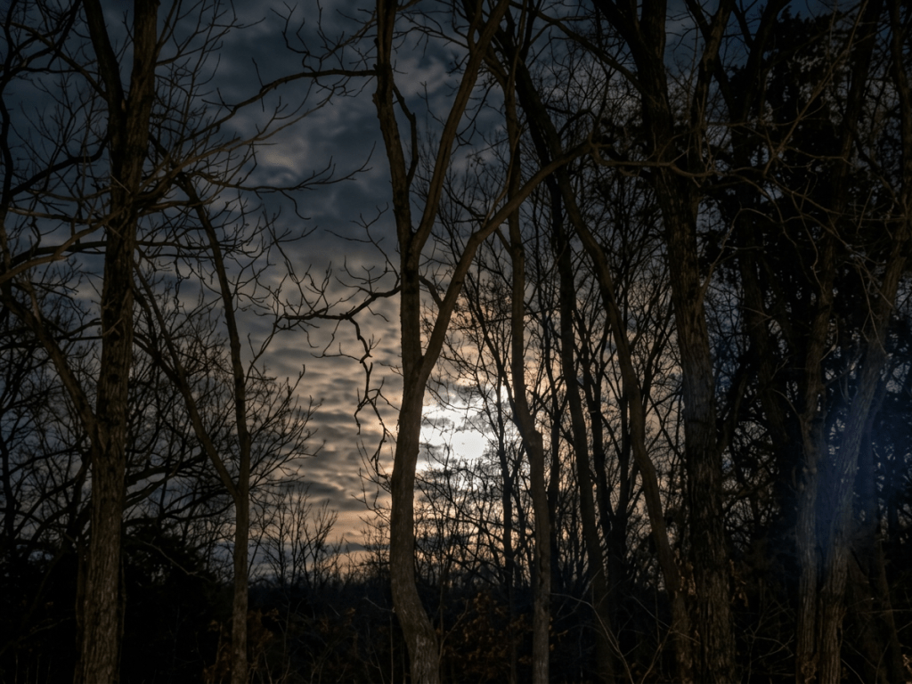 a cloudy night with creepy moon
